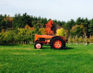 1950 (+:-) International OS4