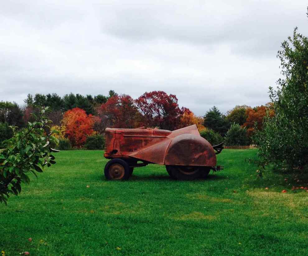 1943 McCormack Deering O6